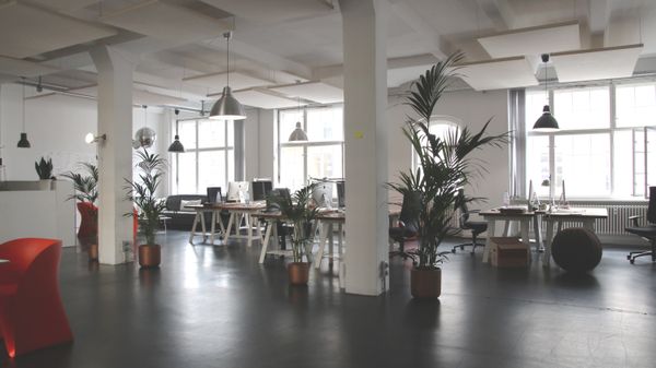 Heller Arbeitsplatz mit Pflanzen – Pexels-Demobild